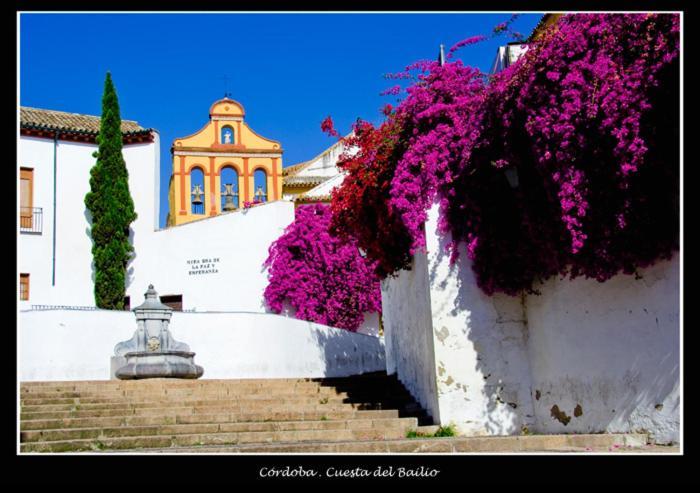 Centro Historico Cristo De Los Faroles La Preferida Kordoba Bagian luar foto